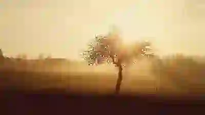 청년내일저축계좌, 개설부터 해지, 이자까지? 궁금증 해결!