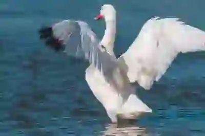 피부양자 자격취득신고서, 꿀팁 총정리! 누구나 쉽게 완벽 가이드