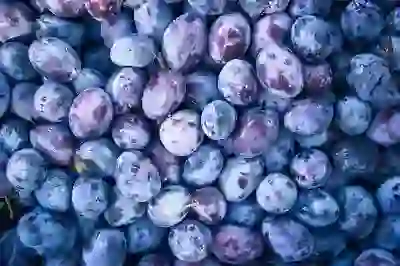 영양 만점 시금치 무침 간단 레시피, 건강 밥상 노하우 알아보기