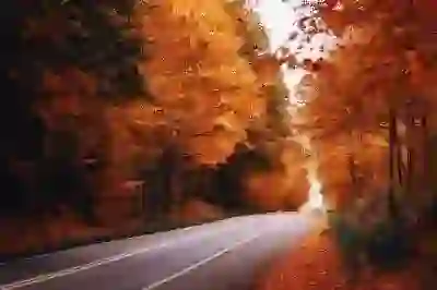 주민세 납부증명서 재발급, 놓치면 손해? 절차와 방법을 알아보자!