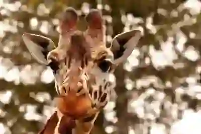 조직의 성공 열쇠, 키맨 뜻 완벽 해부: 핵심 인재의 역할과 중요성