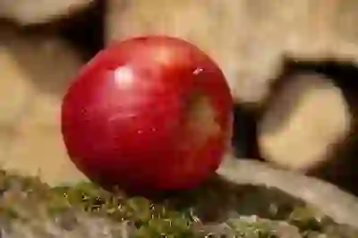 송도 코스트코 연휴 방문 후기: 쇼핑 꿀팁 대방출!