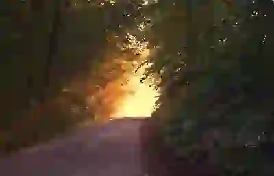 쿠팡 로켓배송 업체 신청 방법, 자격 조건부터 성공 전략까지 완벽 분석 가이드