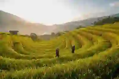 새마을금고 햇살론 대출자격 및 조건 2025 완벽 정리: 3분 만에 알아보는 핵심 정보