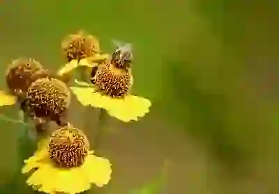 개인사업자 정부지원대출! 자격부터 신청까지 한눈에 (초보자 맞춤