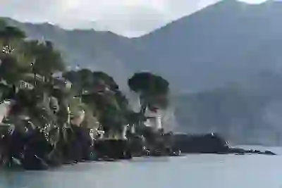 네이버웹툰 기록 삭제, 꿀팁! 초보도 3분 만에 해결