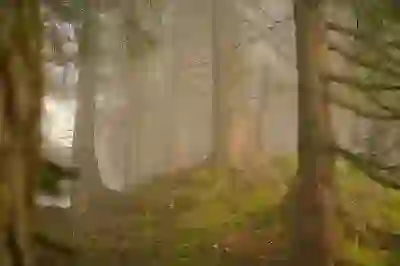 가정양육수당, 연간 지급액과 신청 기한 살펴보자