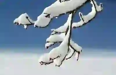 갓김치 무침 맛있게 만드는 3가지 비법 알아보자