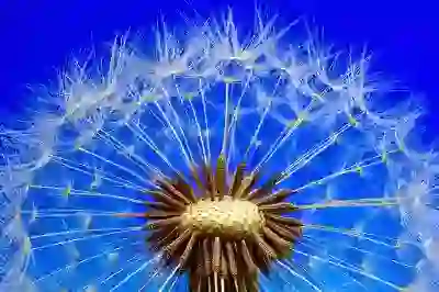 개인회생파산의 숨겨진 위험과 단점 알아보자