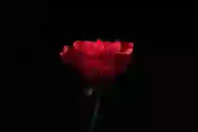 갤럭시 소프트웨어 수동 업데이트 문제 해결을 위한 꿀팁 알아보자