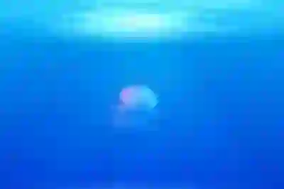 공무원 퇴직 후 안정적인 생활을 위한 4가지 방법 살펴보기