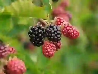 구리시 출산지원금 알아보자