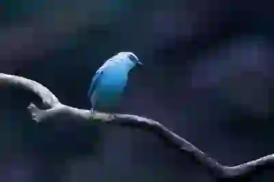 기초연금 신청 방법과 유용한 꿀팁 알아보자