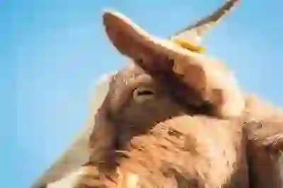 주택 청약 성공을 위한 필수 꿀팁 알아보자