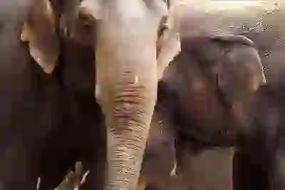 노인일자리 신청 방법과 제한 조건 완벽 정리하기