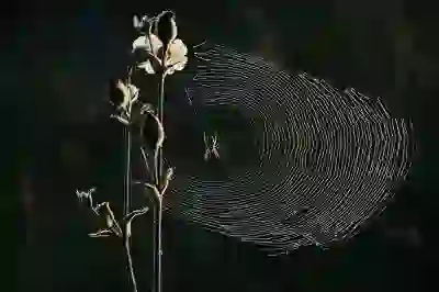 대전 유성구 금고동 자동차 검사 비용과 예약 방법 알아보자