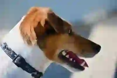 리눅스마스터 시험 대비를 위한 효율적인 학습 방법 5가지 살펴보기