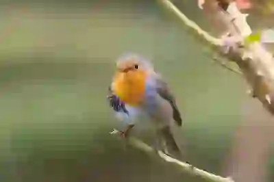 미국 AI 주식 투자로 고수익을 올리는 방법 살펴보자