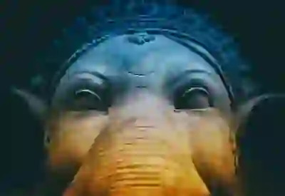 특화단지의 숨겨진 가치를 알아보자