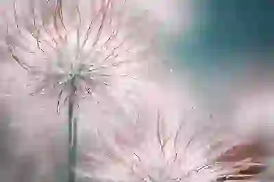 비름나물 무침 쉽게 만드는 법 알아보자