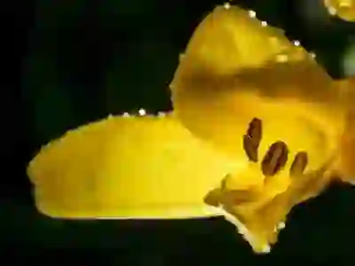 전세보증금반환대출과 은행 DSR 한도 비교 분석하기