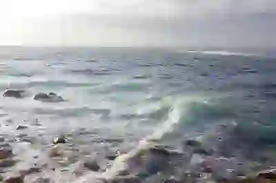 세종 출산지원금 혜택 총정리와 신청 방법 알아보자