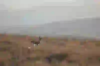 소상공인을 위한 정책자금 확보 전략 5가지 알아보자