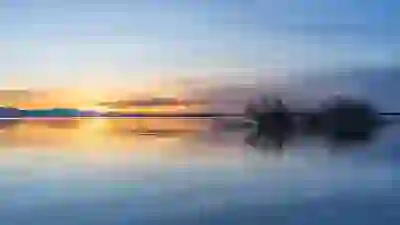 송달료 환급 조회와 잔액 확인하는 꿀팁 알아보자