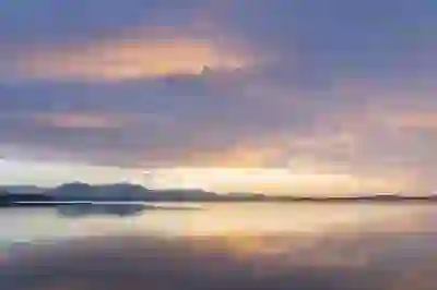 예술인 지원금 신청 방법과 유의사항 알아보자