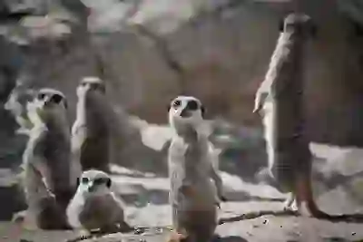 월세보증금 담보대출 조건과 한도 완벽히 알아보자