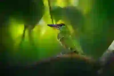 웹툰 창작지도사 자격증 취득을 위한 4가지 전략 알아보자