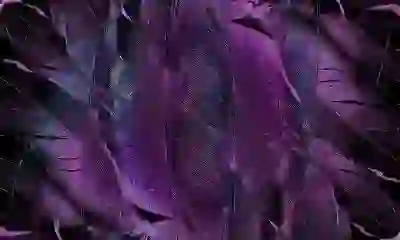 유튜브 밝기 조절하는 꿀팁 알아보자