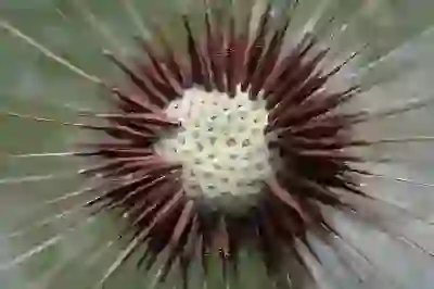 응답하라 1997 정주행 꿀팁 살펴보기