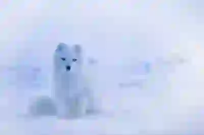 튼튼한 치아를 위한 잇몸 건강 관리 방법 알아보자