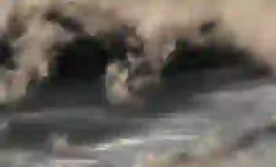 정부지원 대환대출 자격 조건 및 꿀팁 알아보자