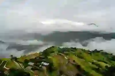 주거안정 월세대출 금리와 한도 알아보자