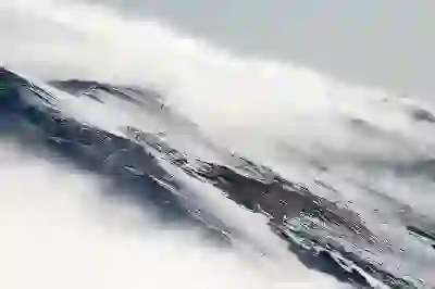 초간단 시금치 무침으로 맛있는 반찬 만드는 꿀팁 알아보자