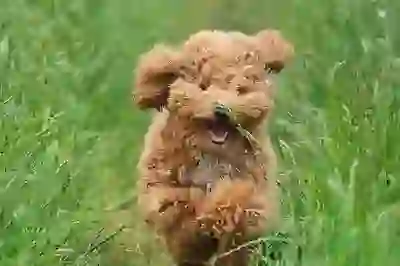 최고의 무료 캡쳐 프로그램 추천과 사용법 알아보자