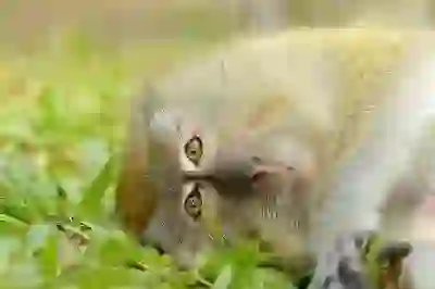 치아 착색과 누런 이빨 변색 원인 알아보자