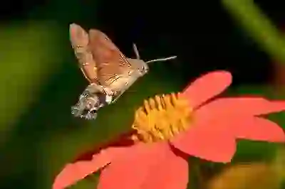 콧물흡입기 비교와 올바른 사용법 알아보자
