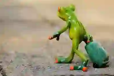 크로스핏 자격증 신청을 위한 필수 준비사항 알아보자