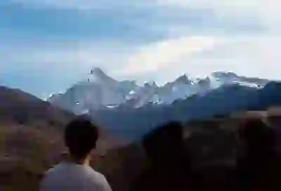 크리스마스 트리 선택 가이드 PC, PVC, 혼합 비교해보자