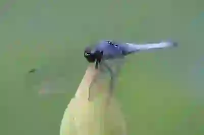 통상임금 계산하는 방법과 사례 살펴보자