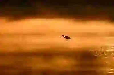 피부를 지키는 화장품 유해 성분 알아보자