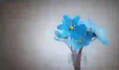 피자헛과 도미노피자, 미스터피자 완벽 비교 분석하기