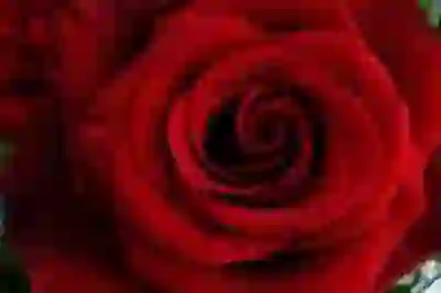 하나 비바 G 플래티늄 체크카드 혜택을 알아보자