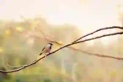 한게임 신맞고 간편하게 설치하는 꿀팁 알아보자