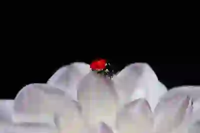 해외주식 양도소득세 절세 방법과 신고 방법 살펴보기