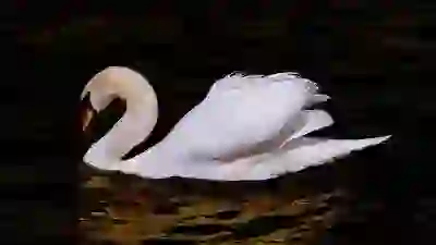 후천성 면역결핍증에 대한 4가지 궁금증 알아보자