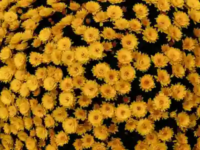 LG 정수기 렌탈 사은품과 가격 만족도 알아보자